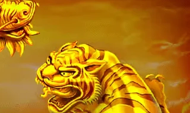 Dragon Tiger ao vivo